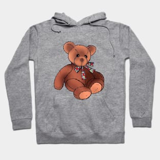 cute vintage teddy bear Hoodie